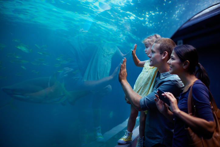 Family at aquarium